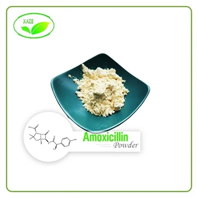 Amoxicillin Powder